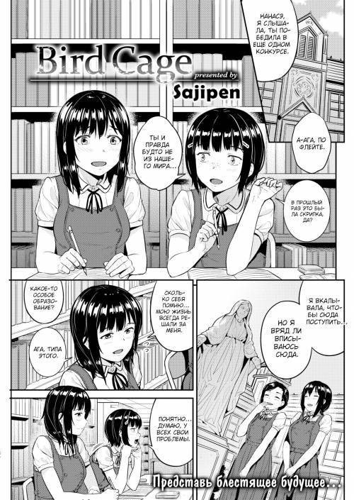 Bird Cage / Птичья клетка